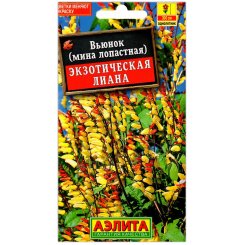 Вьюнок Экзотическая лиана