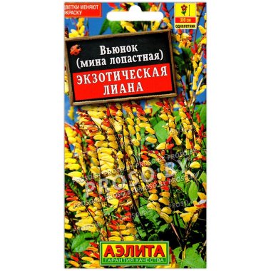 Вьюнок Экзотическая лиана