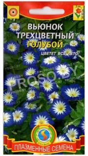 Вьюнок трехцветный Голубой