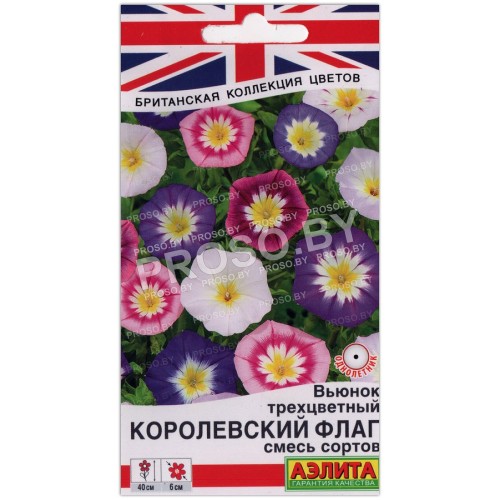 Вьюнок трехцветный Королевский флаг, смесь