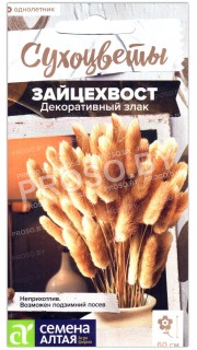 Зайцехвост Декоративный злак