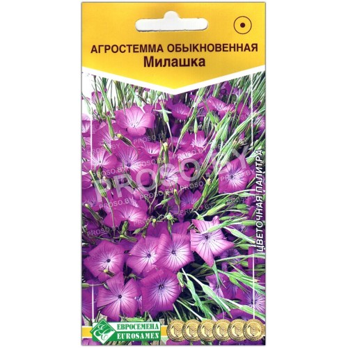 Агростемма обыкновенная Милашка