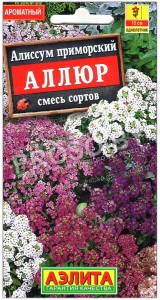 Алиссум приморский Аллюр, смесь