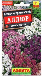 Алиссум приморский Аллюр, смесь