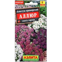 Алиссум приморский Аллюр, смесь