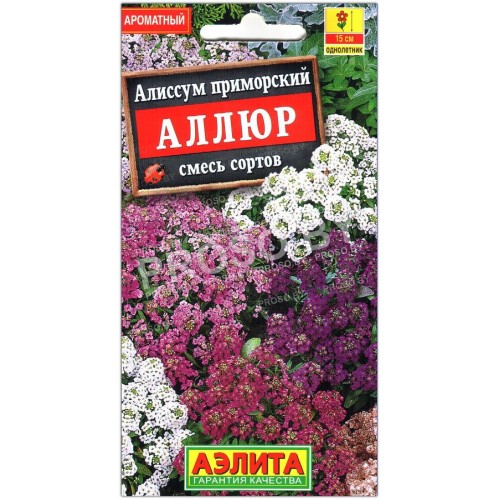 Алиссум приморский Аллюр, смесь