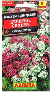 Алиссум приморский Двойное сияние, смесь