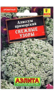 Алиссум приморский Снежные узоры