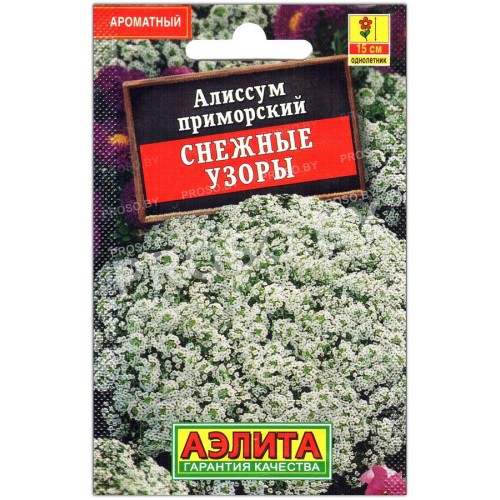 Алиссум приморский Снежные узоры