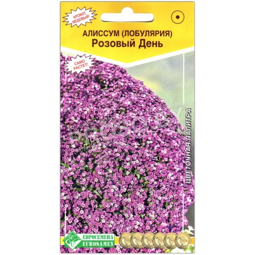 Алиссум Розовый день