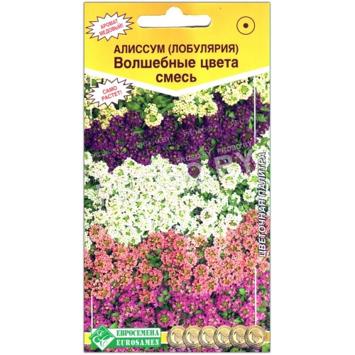 Алиссум Волшебные цвета, смесь