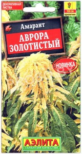 Амарант Аврора золотистый