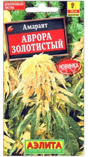 Амарант Аврора золотистый