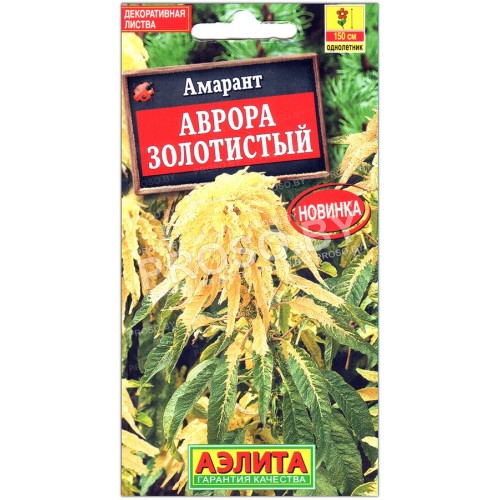 Амарант Аврора золотистый