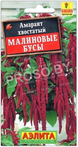 Амарант хвостатый Малиновые бусы