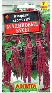Амарант хвостатый Малиновые бусы