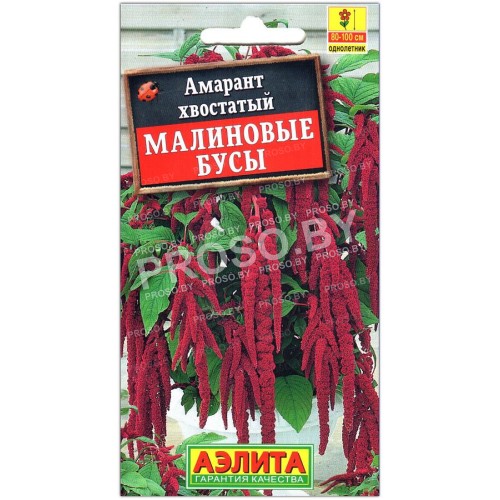 Амарант хвостатый Малиновые бусы