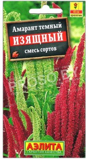 Амарант темный Изящный, смесь