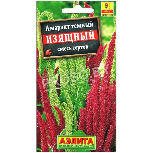 Амарант темный Изящный, смесь