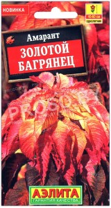 Амарант Золотой багрянец