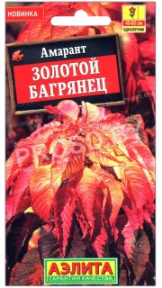 Амарант Золотой багрянец