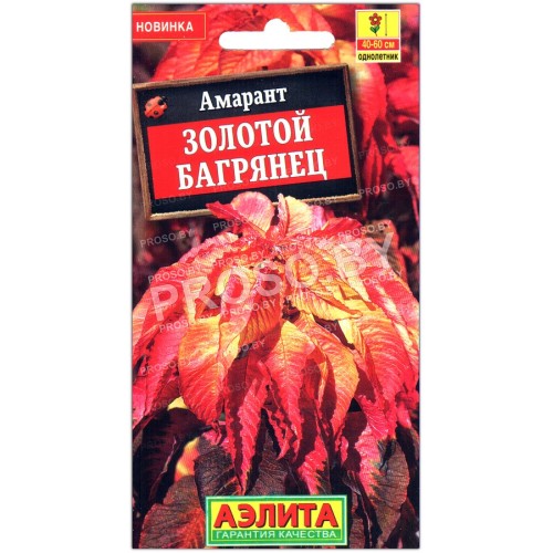 Амарант Золотой багрянец