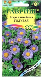 Астра альпийская Голубая