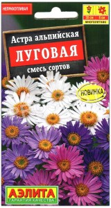 Астра альпийская Луговая, смесь