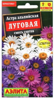 Астра альпийская Луговая, смесь