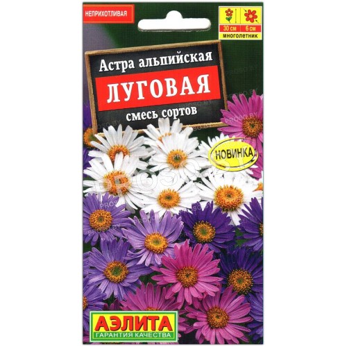 Астра альпийская Луговая, смесь