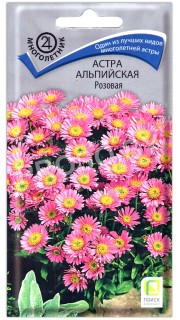 Астра альпийская Розовая