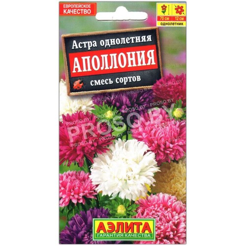 Астра Аполлония, смесь-1