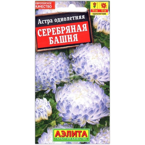 Астра Серебряная башня