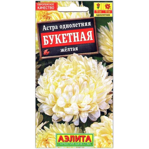 Астра Букетная желтая