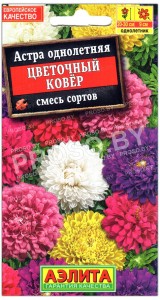 Астра Цветочный ковер, смесь