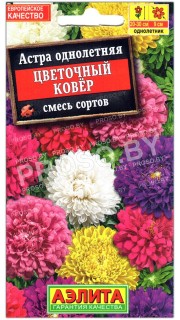 Астра Цветочный ковер, смесь