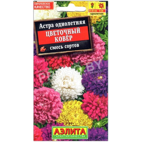 Астра Цветочный ковер, смесь