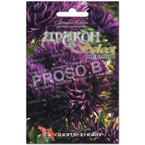 Астра Дракон селект черный