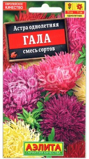 Астра Гала, смесь
