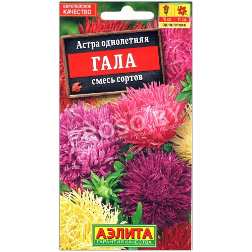 Астра Гала, смесь
