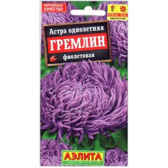 Астра Гремлин фиолетовая