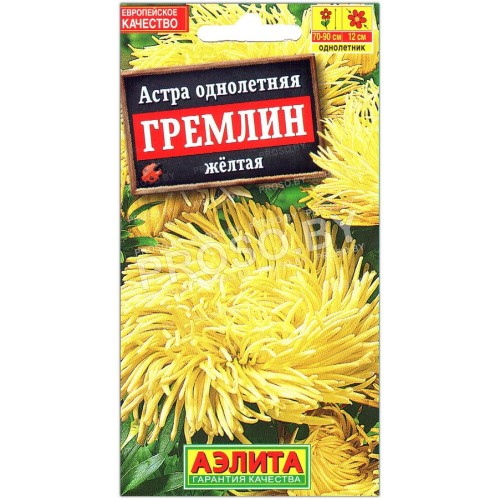 Астра Гремлин желтая