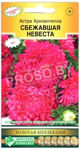 Астра Хризантелла сбежавшая невеста