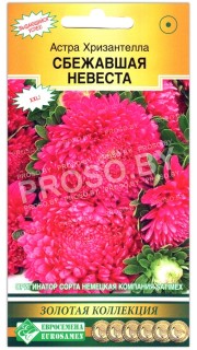 Астра Хризантелла сбежавшая невеста
