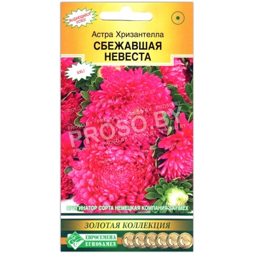 Астра Хризантелла сбежавшая невеста