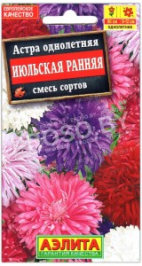 Астра Июльская ранняя, смесь