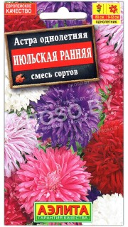 Астра Июльская ранняя, смесь