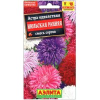 Астра Июльская ранняя, смесь