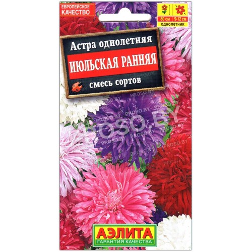 Астра Июльская ранняя, смесь