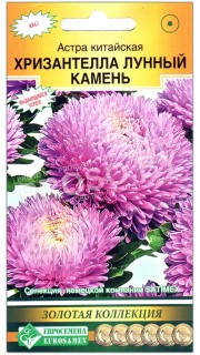 Астра китайская Хризантелла лунный камень